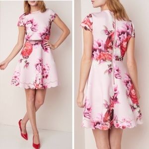 Ted Baker Pink Floral Skater Dress